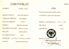 ok. 1,32ct /1szt. - CHABROWY AAA SZAFIR NAT.- 5.1x6.9/3.5mm ośmiokąt ok. 1,32ct /1szt. - CHABROWY AAA SZAFIR NAT.- 5.1x6.9/3.5mm ośmiokąt