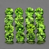 ok. 0,27ct /1szt. - PERYDOT, OLIWIN NAT.- 4,0mm okrągły ok. 0,27ct /1szt. - PERYDOT, OLIWIN NAT.- 4,0mm okrągły