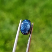 ok. 3,075ct/szt. -GWIAŹDZISTY SZAFIR NAT.- 9,75x7,17/3,79 owal